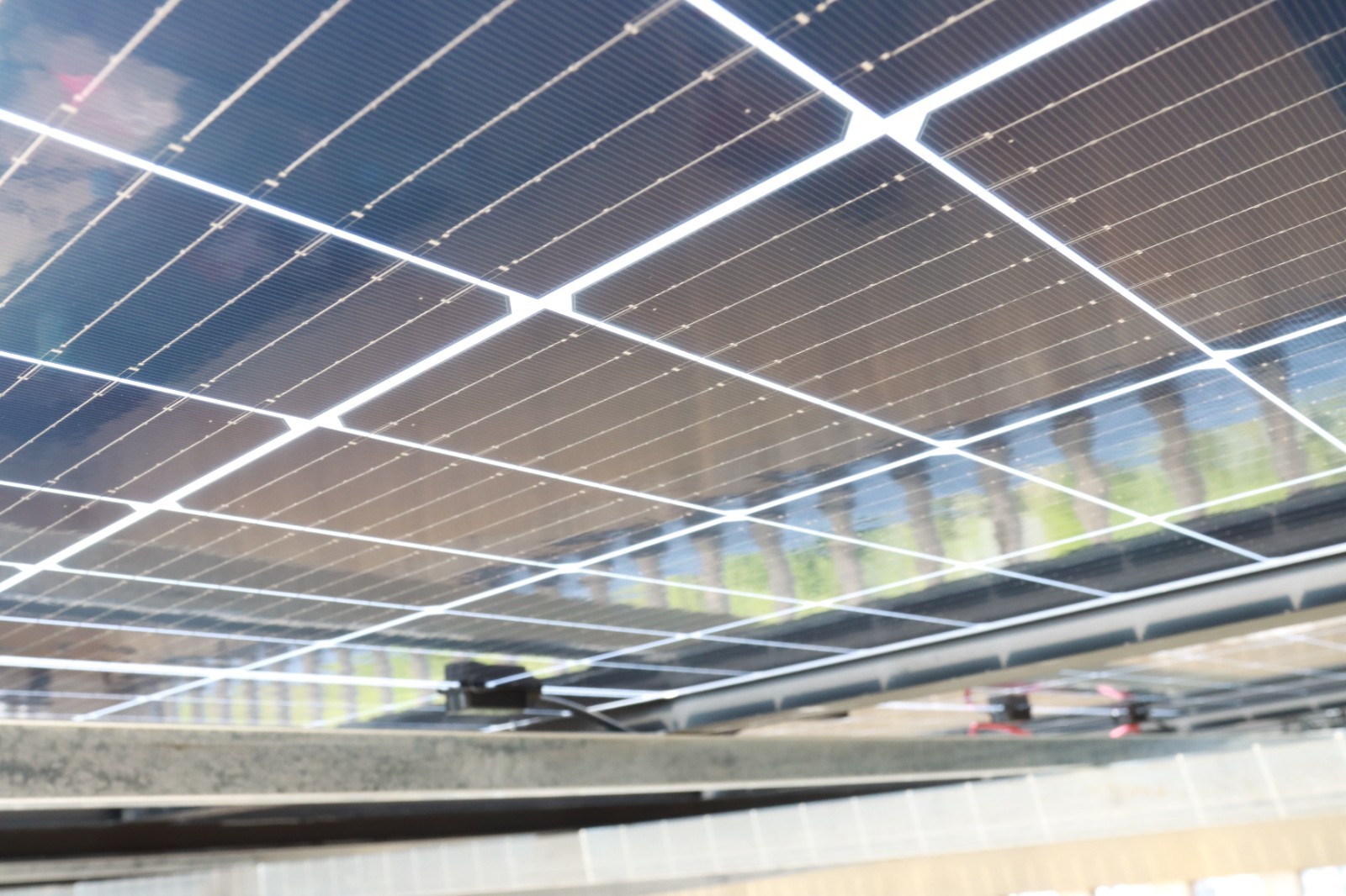 湖北365速发国际最新平台绿色能源有限公司